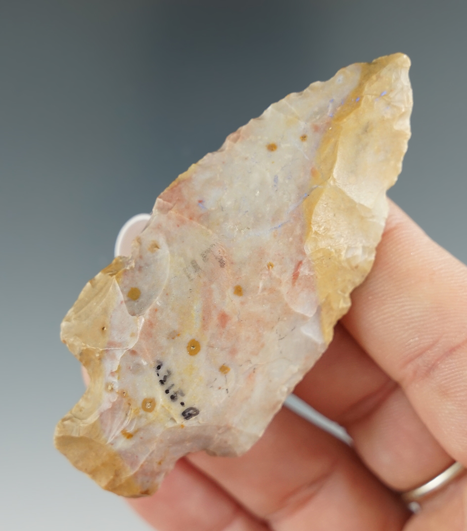 2 7/8" Archaic Stemmed Point made from attractive Bisher Chert found in northern Kentucky.