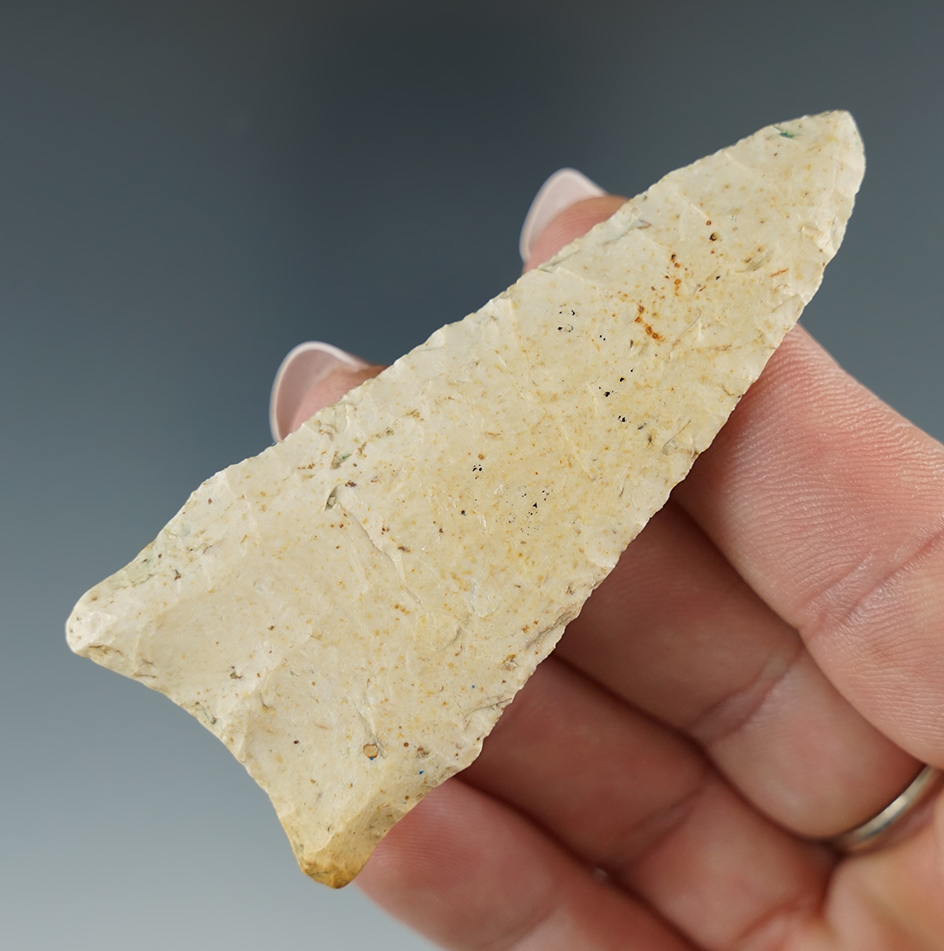 2 7/8" Burlington Chert Dalton - Illinois. Ex.  Schewey, David Bogle. Rogers and Partain COAs.