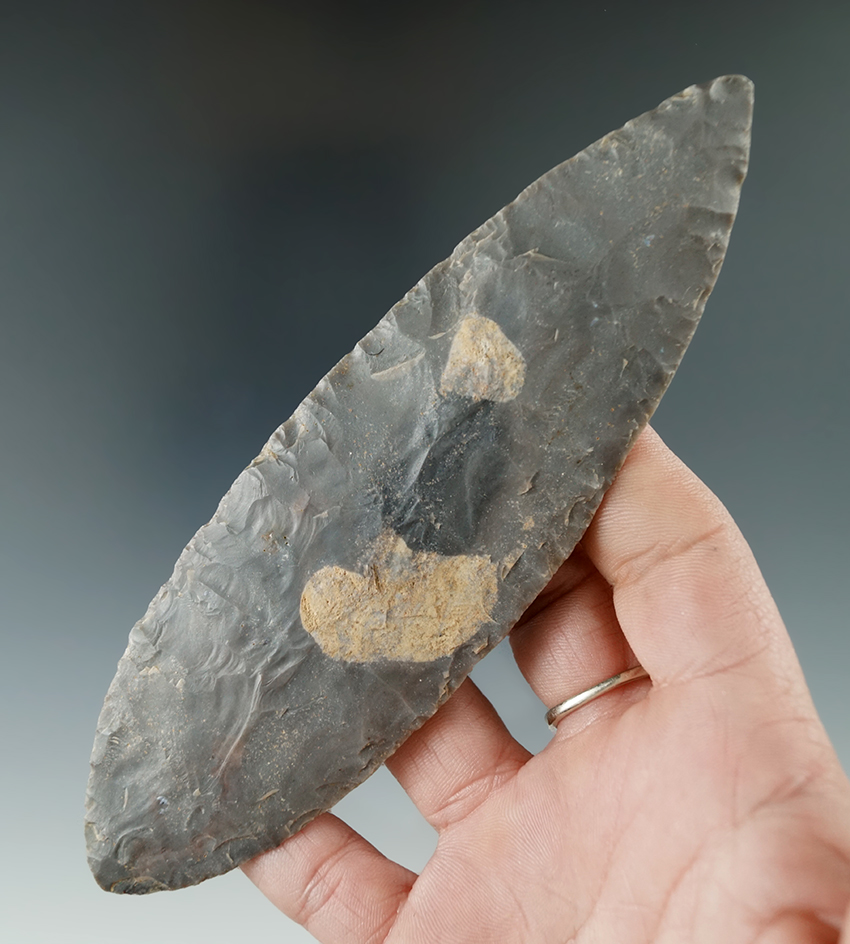 5 3/4" Turkeytail Blade found in Crawford Co., Indiana as part of a 27 total piece Cache.