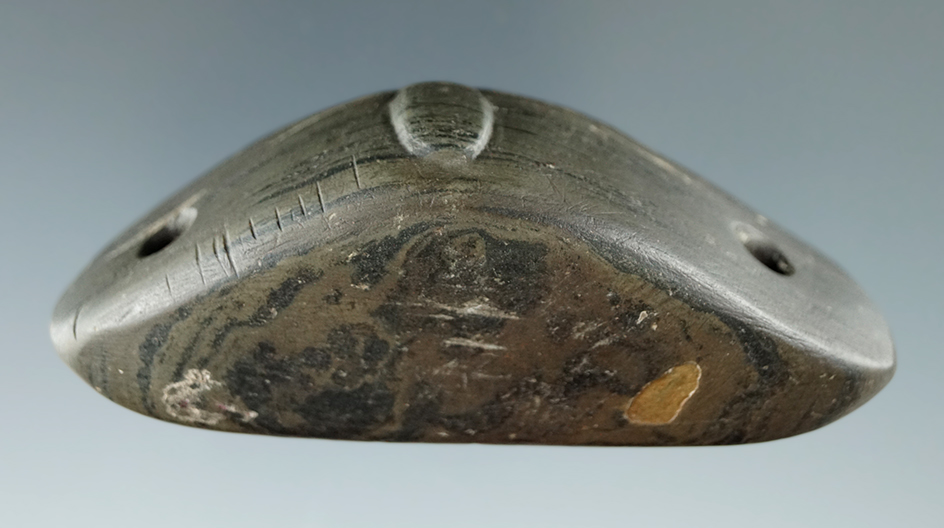 3 1/8" Glacial Kame Rear Button Top Spine Back Gorget with nice tally marks. Marion Co., Ohio.