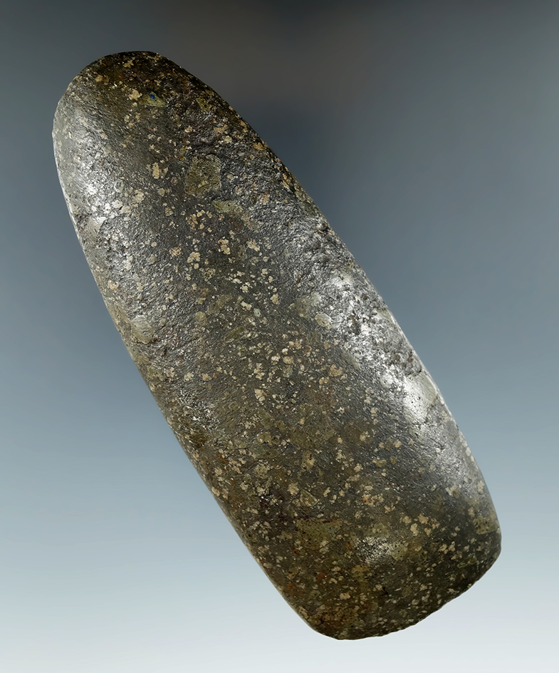 5 5/8" Speckled Hardstone Celt found in Ohio. Excellent condition.