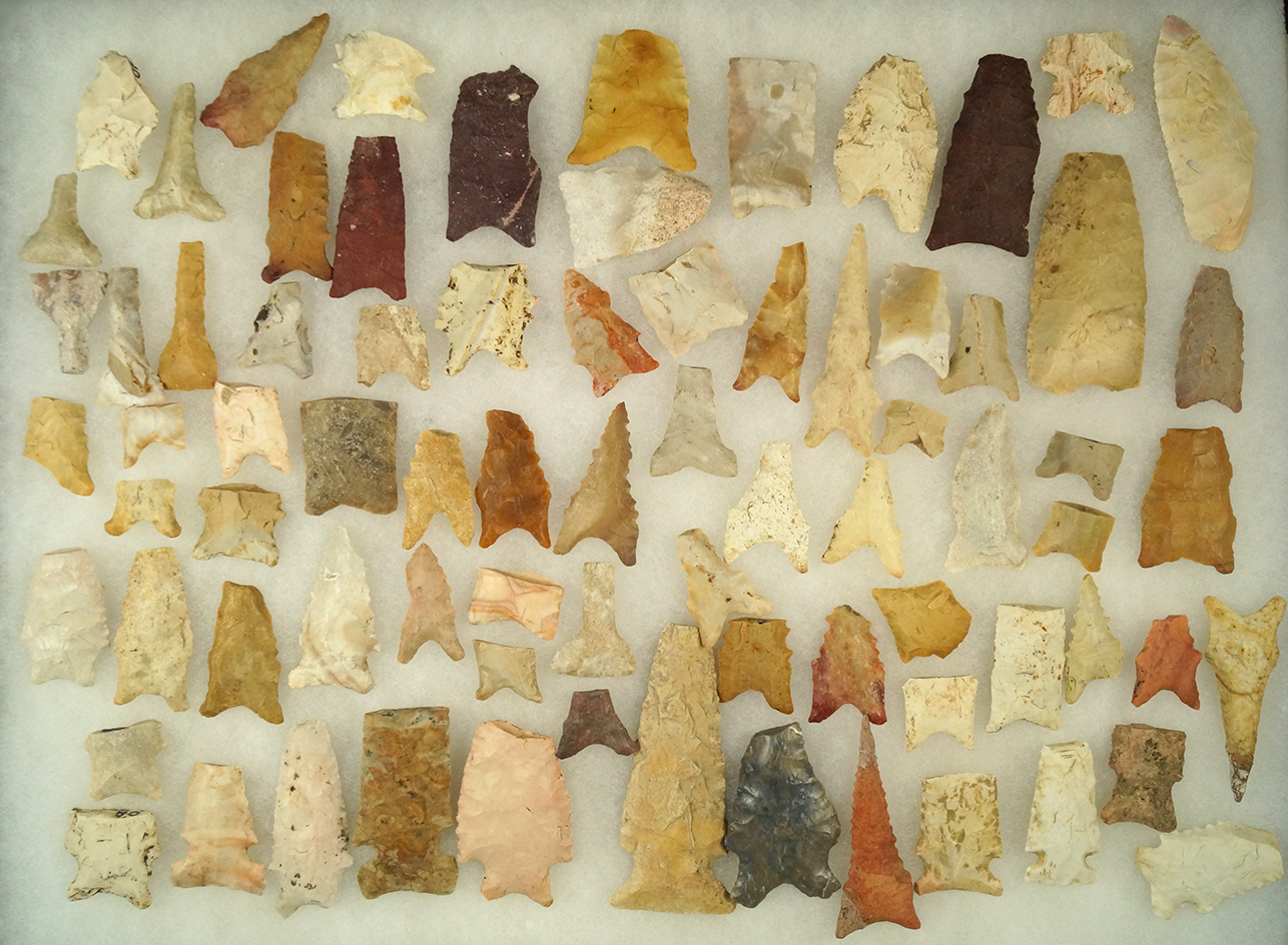 Large group of mostly Dalton culture artifacts . Found in Arkansas/Missouri area. Largest is 3 5/16"