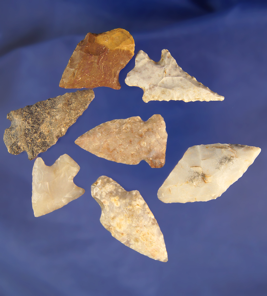 Set of seven assorted Midwestern arrowheads, largest is 1 3/4".
