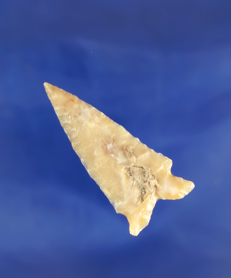 Beautiful material on this 1 1/2" semi translucent Elko Eared  found in Oregon.