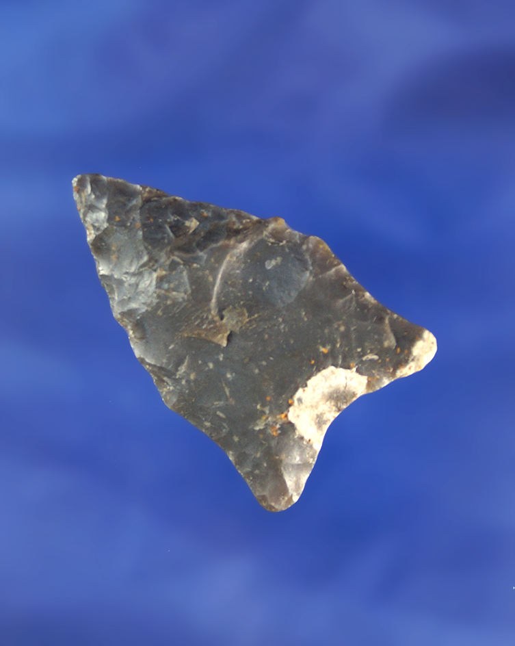 1 11/16" nicely styled Dalton point found in the Midwest.