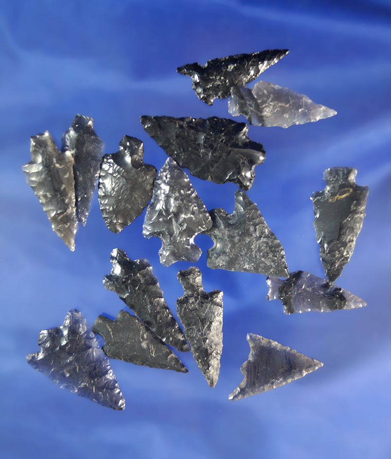 Set of 15 Obsidian arrowheads found in Oregon, largest is 1 1/8".