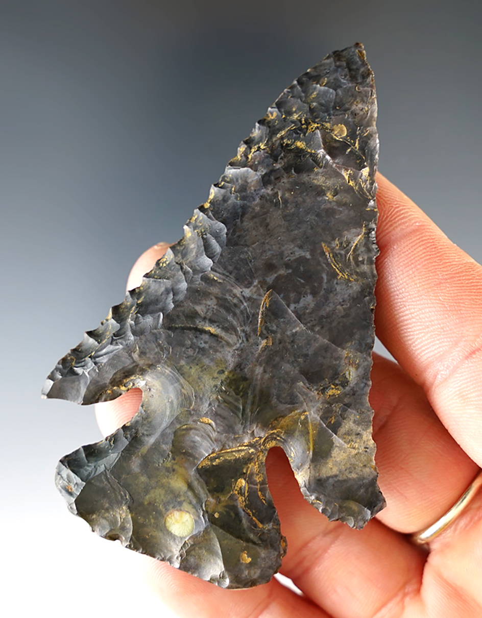 Classic 3 1/8" Archaic Deep Notch Thebes Bevel found in Franklin Co., Ohio.  Pictured!