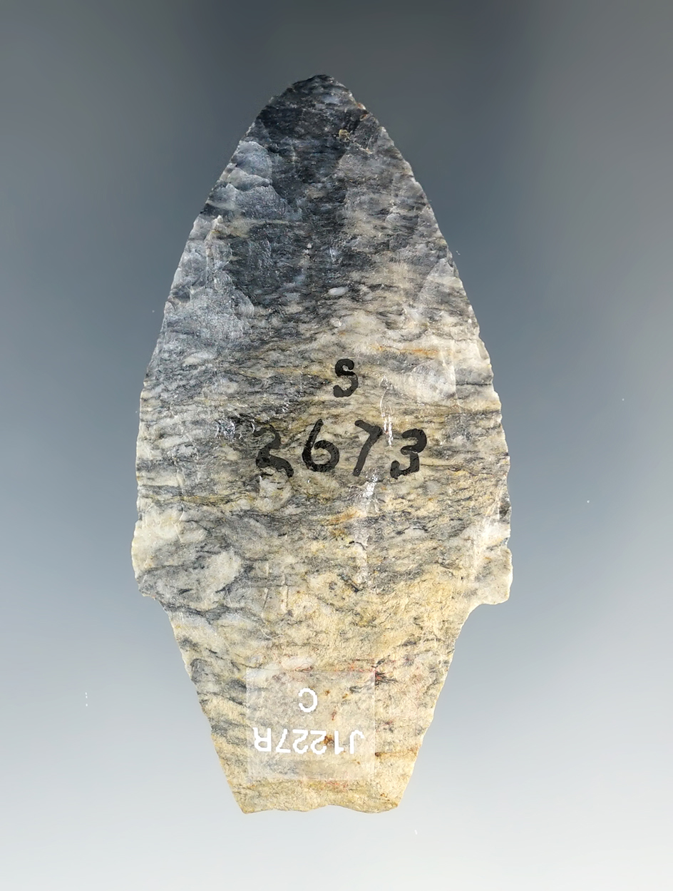 2 1/2" Early Adena found by Kenneth Brown on October 5, 1931 in Lorain Co., Ohio. Pictured!