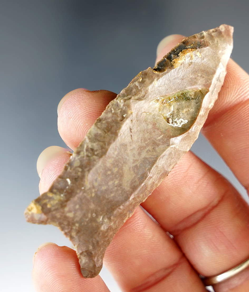 2 9/16" Paleo Fluted Cumberland with nice long flutes. South-central Kentucky. Davis COA.