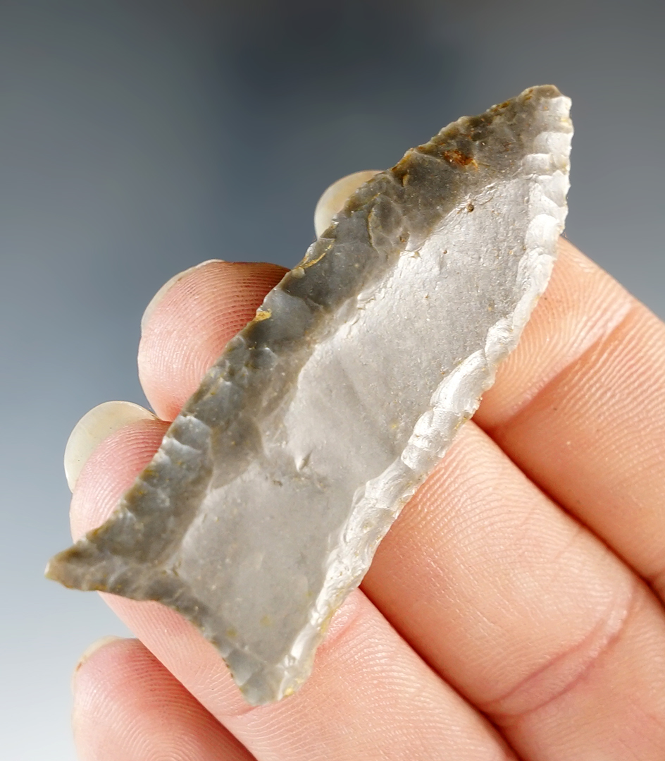 Classic style 2 3/16" Paleo Fluted Cumberland - excellent flutes, found in Kentucky. Davis COA.