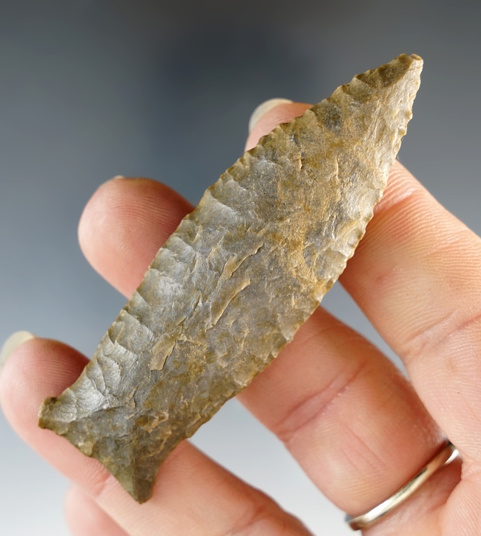 2 3/4" Paleo Unfluted Cumberland - Fort Payne Chert, found in Tennessee. Davis G-8 COA.