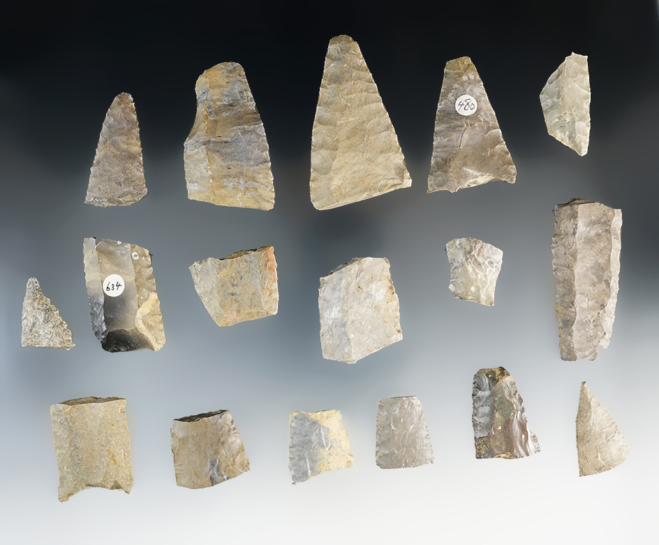 Excellent set of 17 Paleo Fluted Cumberland sections - Tennessee - Dale Hollow Lake area.