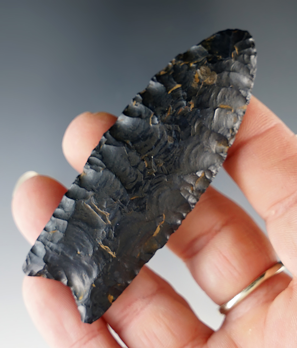 Classic Style 2 15/16" Coshocton Flint Paleo Fluted Clovis found in Ohio.