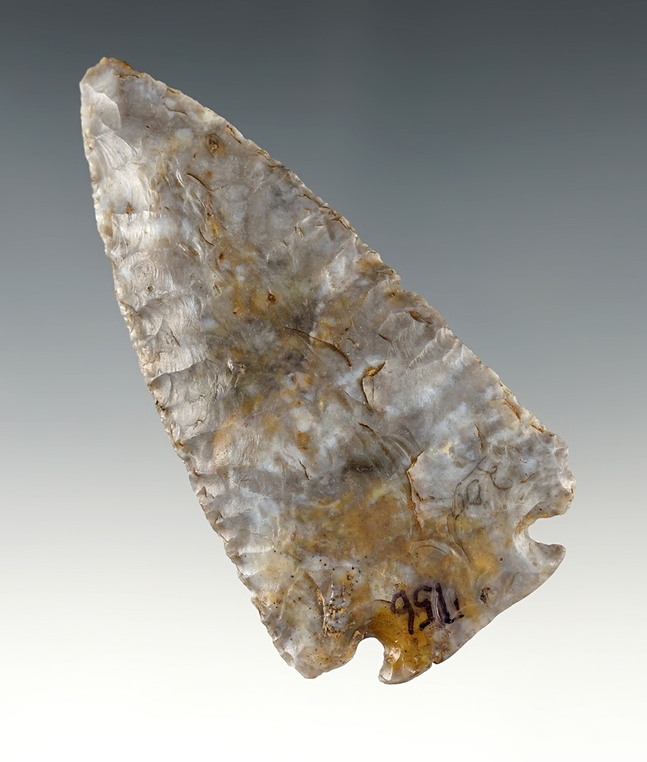 Excellent style on this 3 3/8" Decatur Fractured Base found in Delaware Co., Ohio.