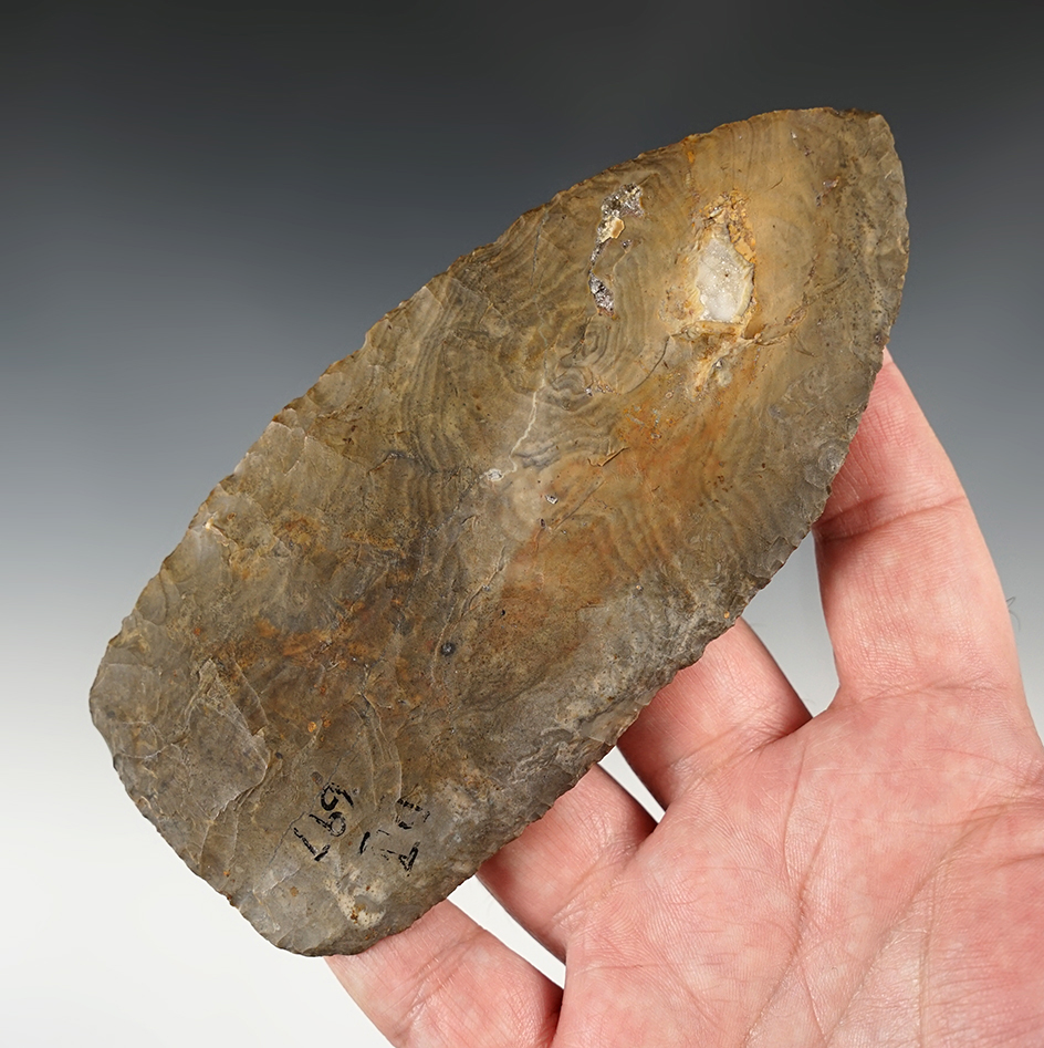 Exceptional! Large 5 9/16" Well flaked Nethers Flint Blade found in Ohio.