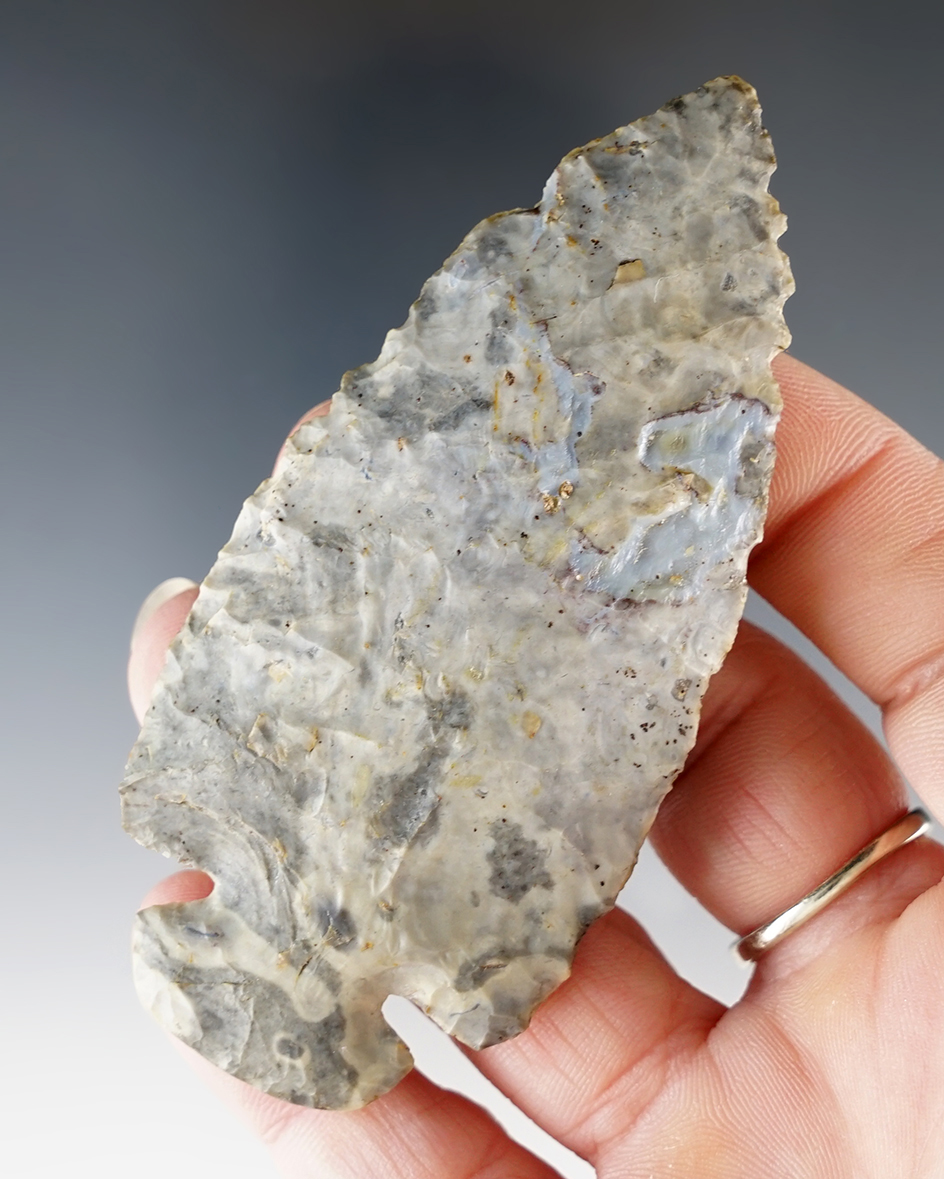 Beautifully mottled 3 7/16" Flint Ridge Flint Dovetail with nice mineral deposits - Ohio.