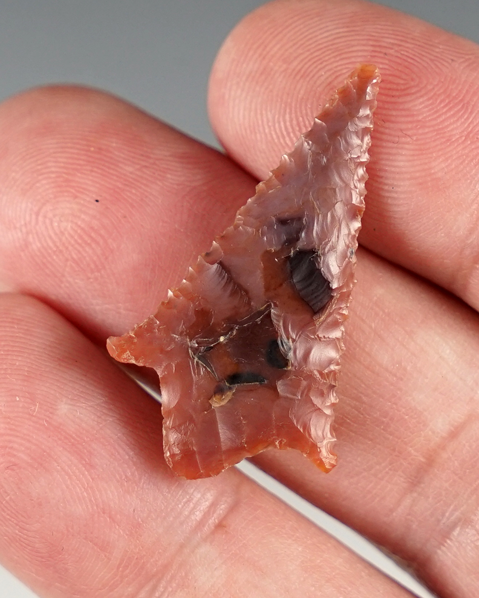 1 3/8" Rabbit Island with incredible edge serrations. Made from semi translucent pink Agate.