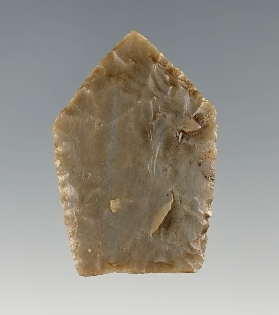 1 3/16" Jacks Reef Pentagonal. Thin with outstanding flaking. Found in Kentucky.