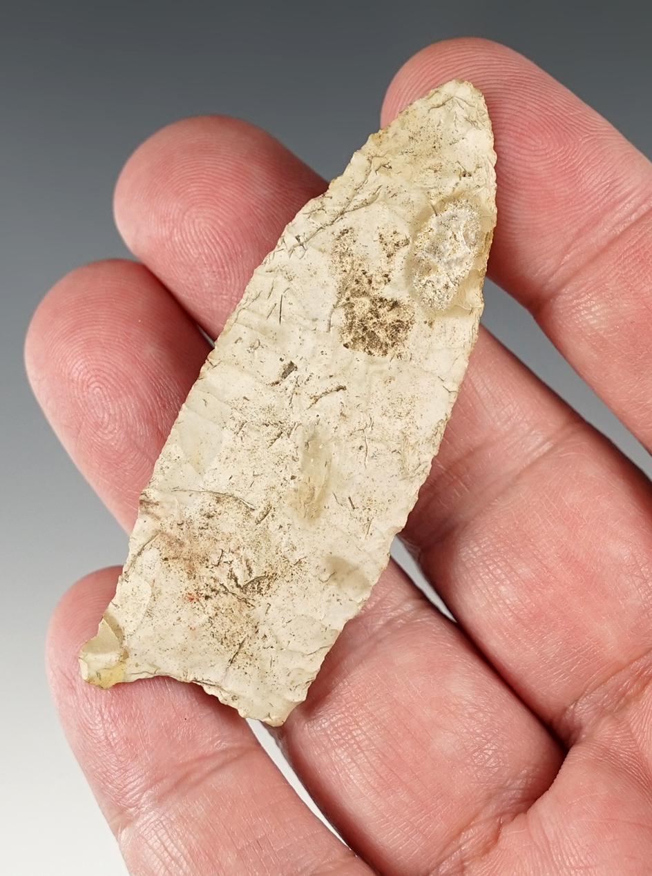 2 11/16" Dalton. Reportedly found in Scioto Co., Ohio. Comes with a Jackson COA.