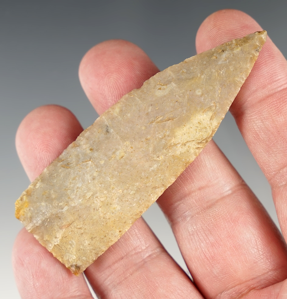 Amazingly thin 3" Triangular Blade found Montgomery Co., Kentucky.