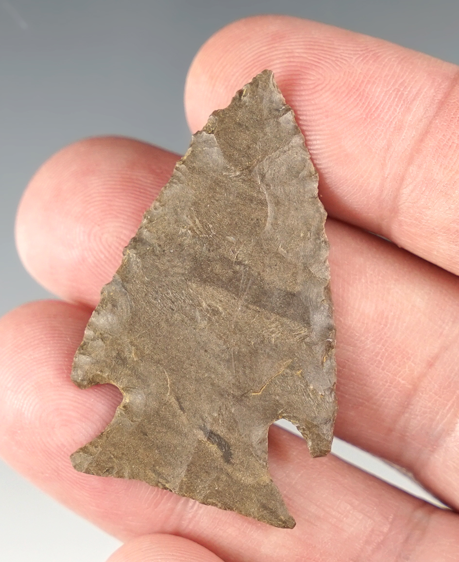 Thin and finely made 1 13/16" Jacks Reef Triangle found in Tennessee.