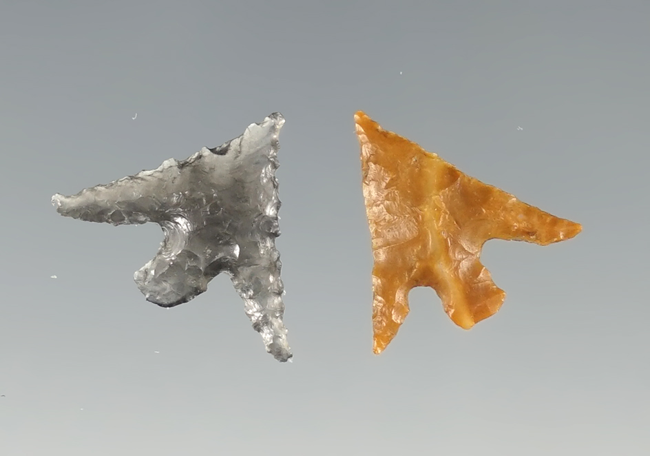 Pair of delicately made Columbia Plateau points found close to the Columbia River.