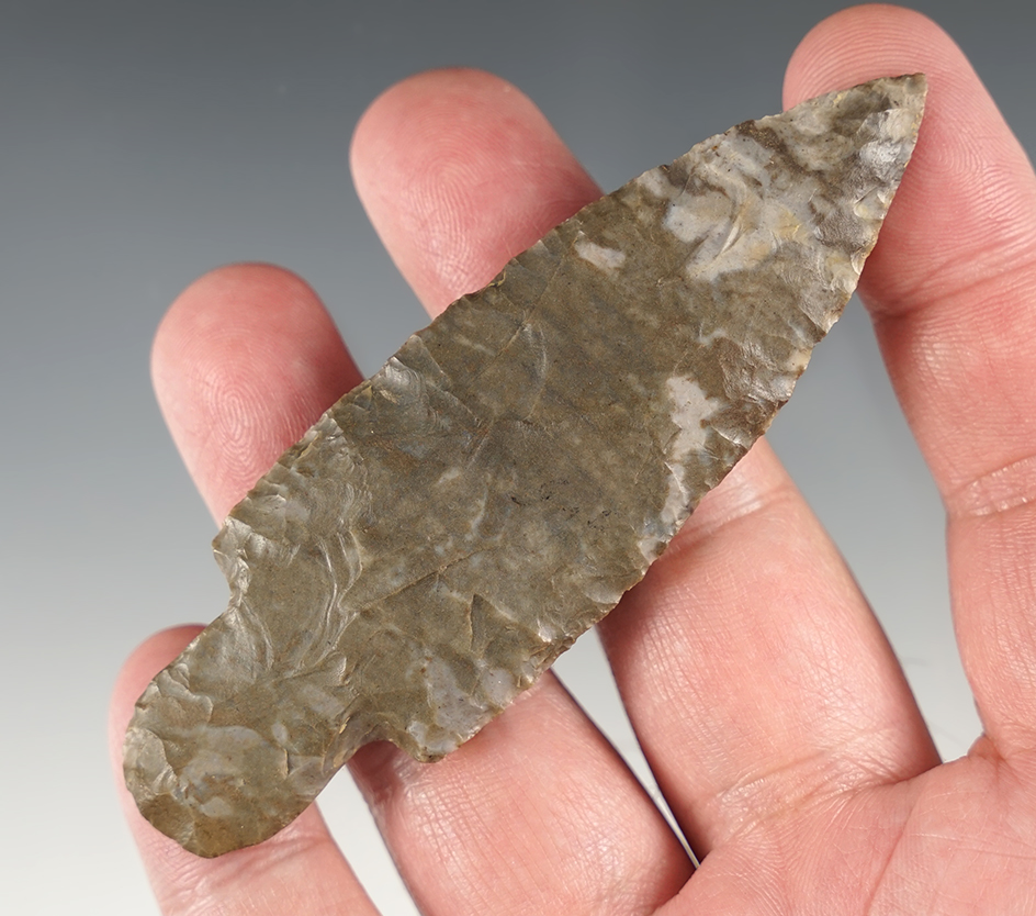 3 3/4" Ft. Payne Adena found in eastern Ohio.