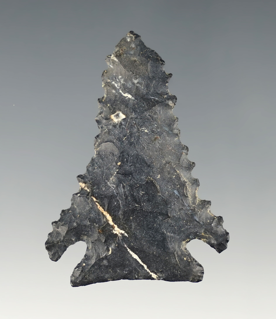 1 3/4" Highly serrated Pinetree. Found in Morrow Co., Ohio.