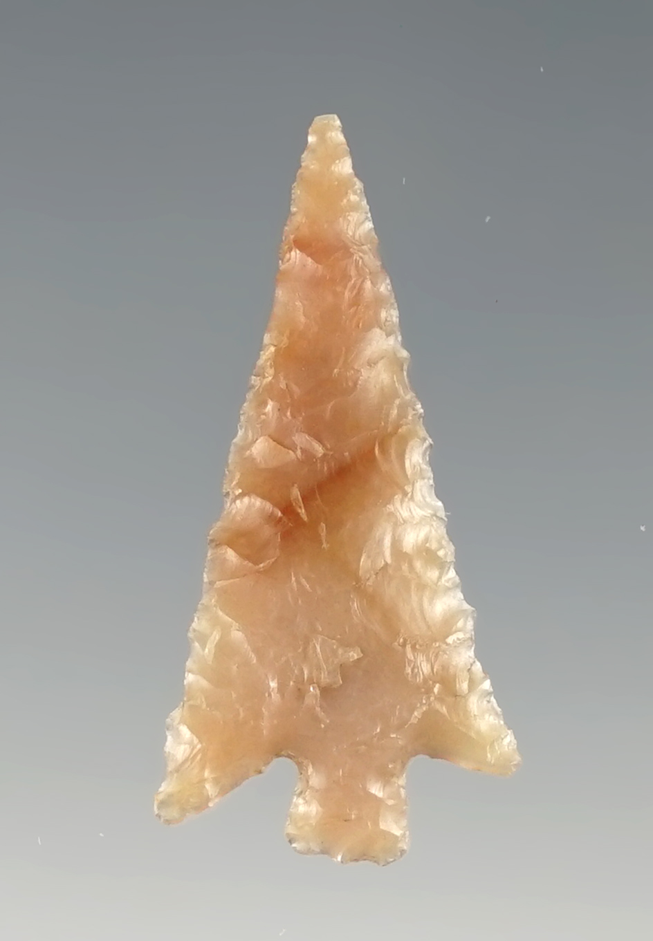 1 3/16" Columbia Plateau found close to the Columbia River in Oregon. Stermer COA.
