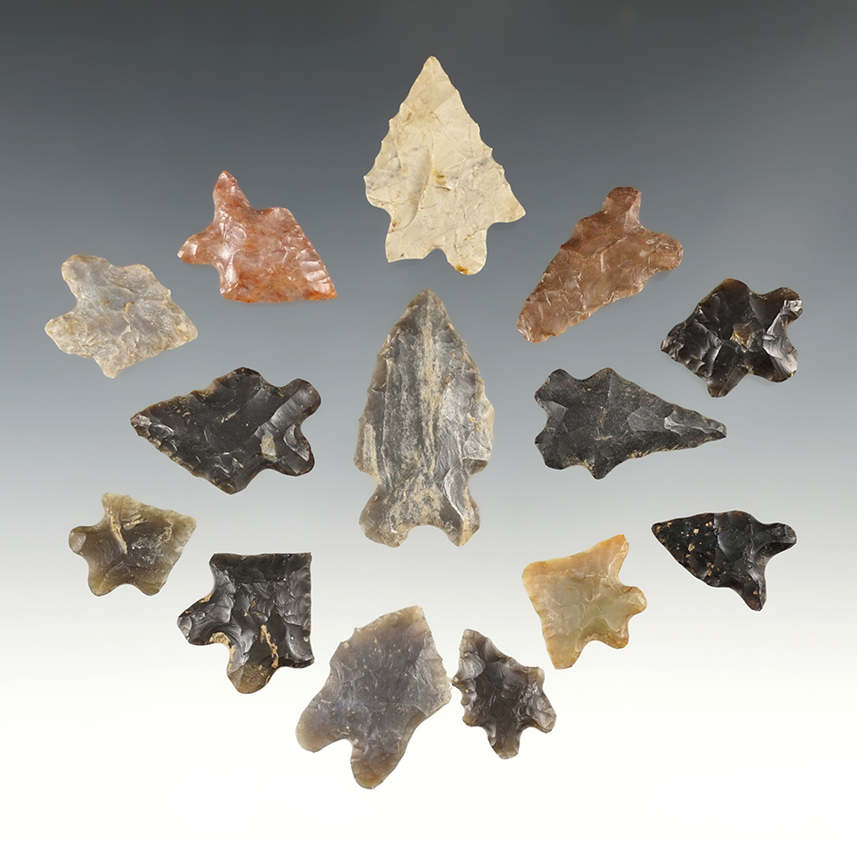 Set of 14 Bifurcated points found in Kentucky.