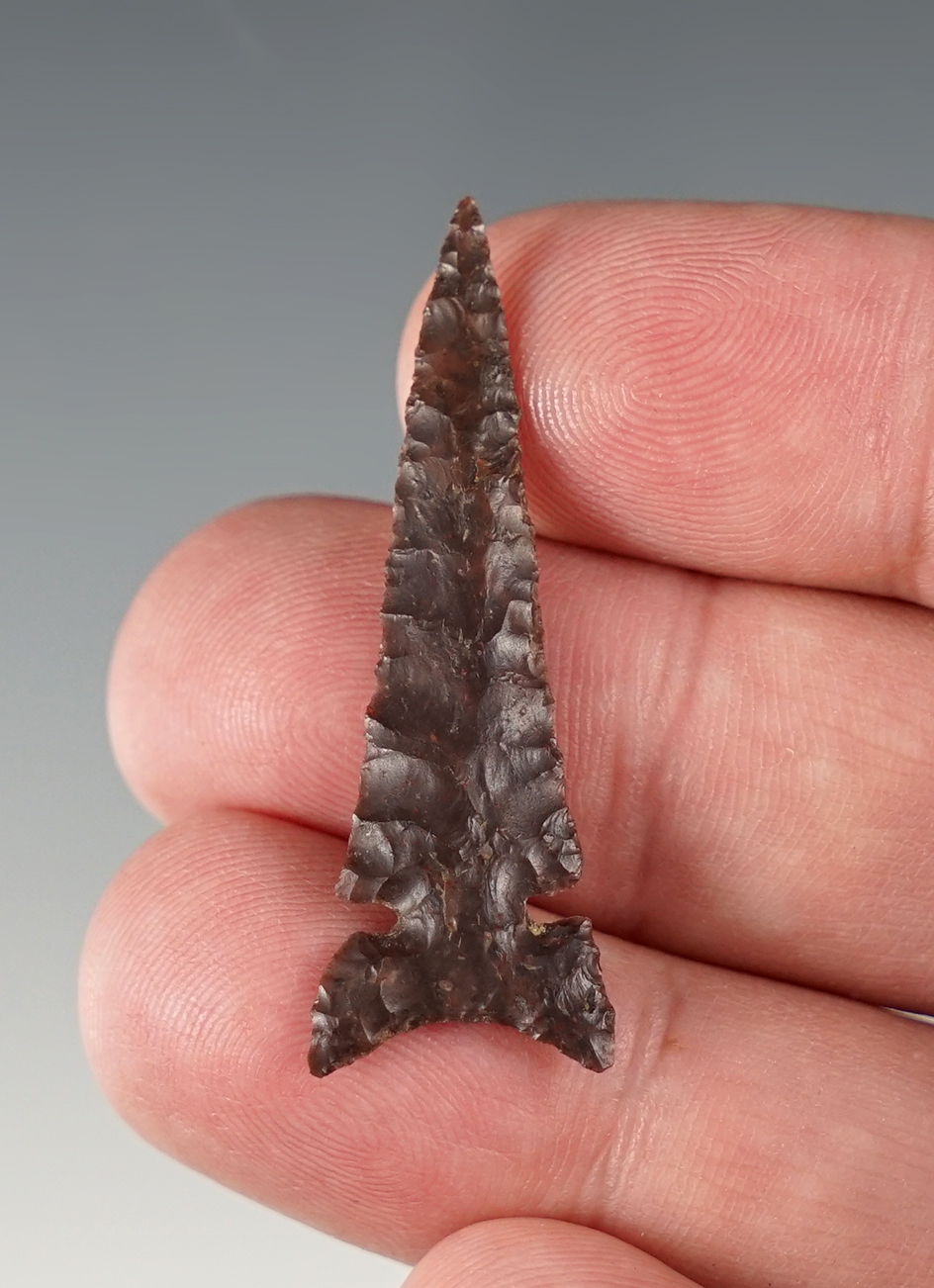 Stellar 1 5/8" Western Side Notch in fantastic Condition. Made from brown Jasper.