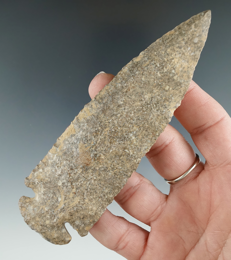 4  13/16" Dovetail with restoration to the tip, one ear and one basal corner - Kentucky.