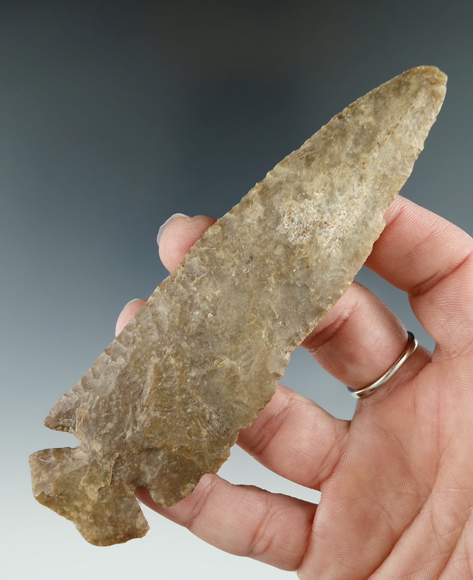 4 7/8" beveled Dovetail found in Boone Co.,  Kentucky made from Boyle chert. Perino COA.