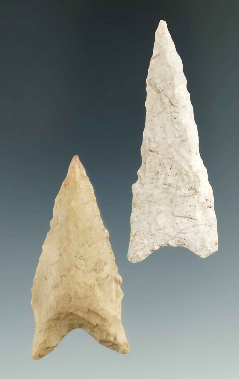 Pair of Dalton points found in Illinois, largest is 2 9/16".
