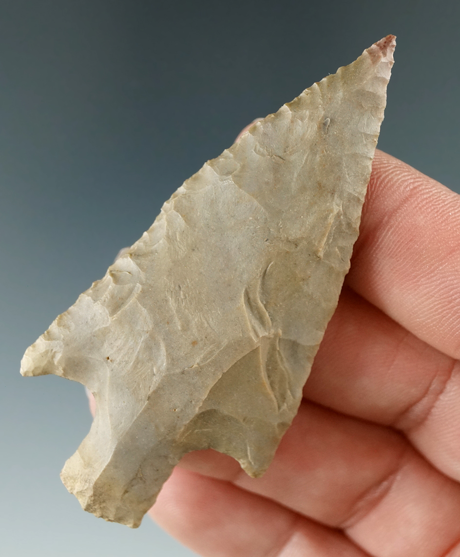 2 5/8" Buck Creek found in Kentucky made from Fort Payne chert. Comes with a Davis G-7 COA.