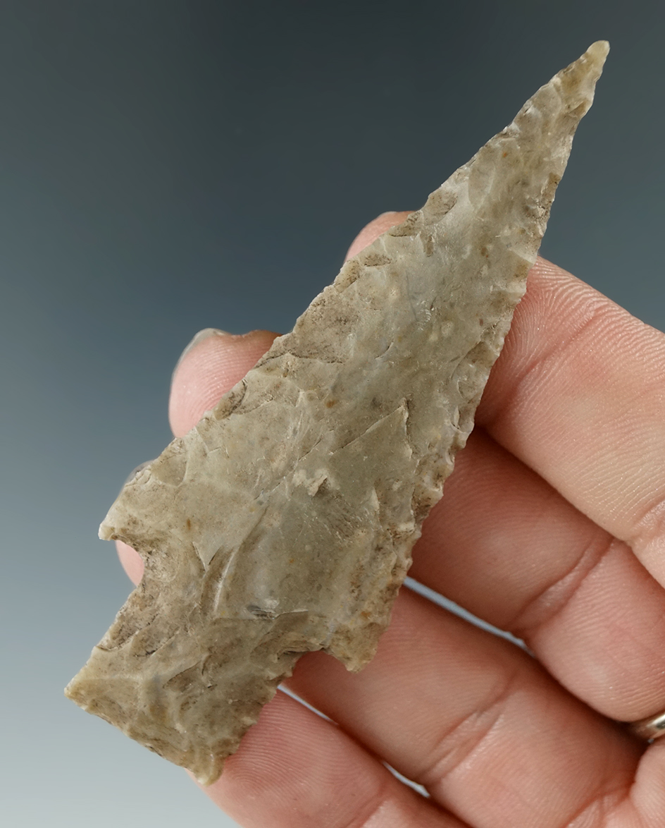 Ex. Museum! 3 1/16" Bulverde found in central Texas.