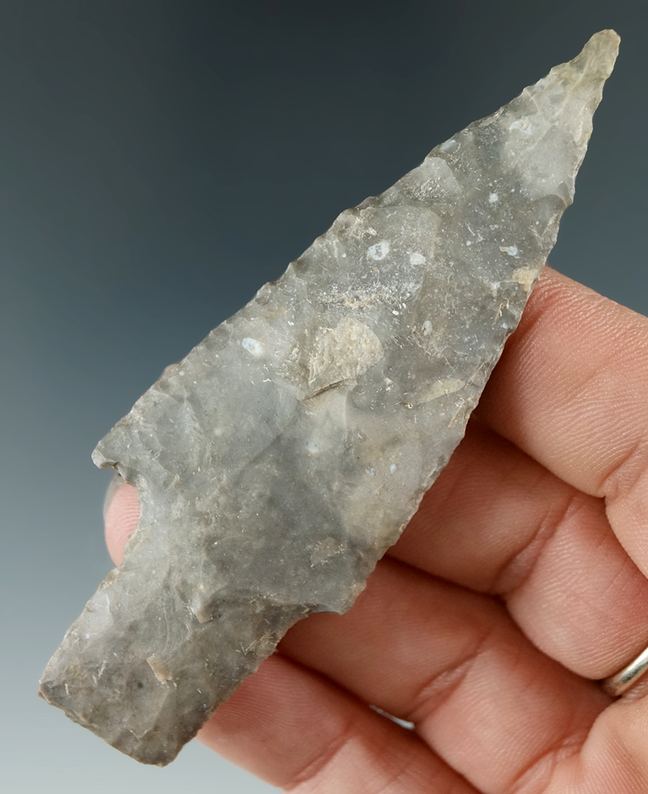 Ex. Museum! 3 3/8" Bulverde found in central Texas.