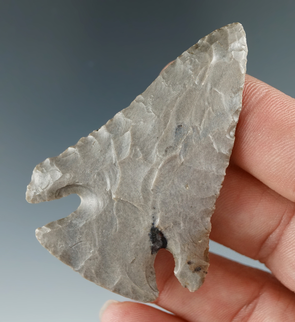 2 1/4" Lost Lake found in Spencer Co., Indiana. Modern rechipping to tip.  Davis COA.