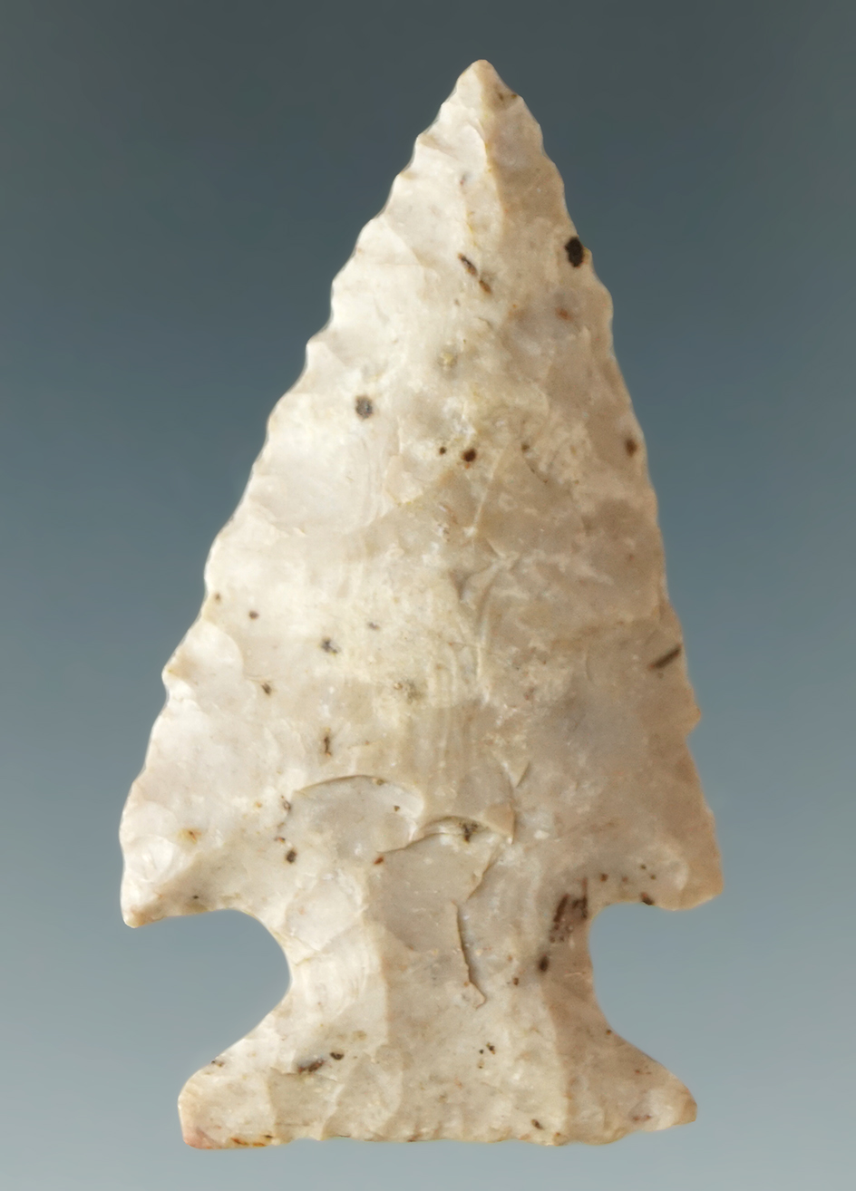 2 5/16" Pinetree point made from Fort Payne chert found in Kentucky.Davis G-7 COA.
