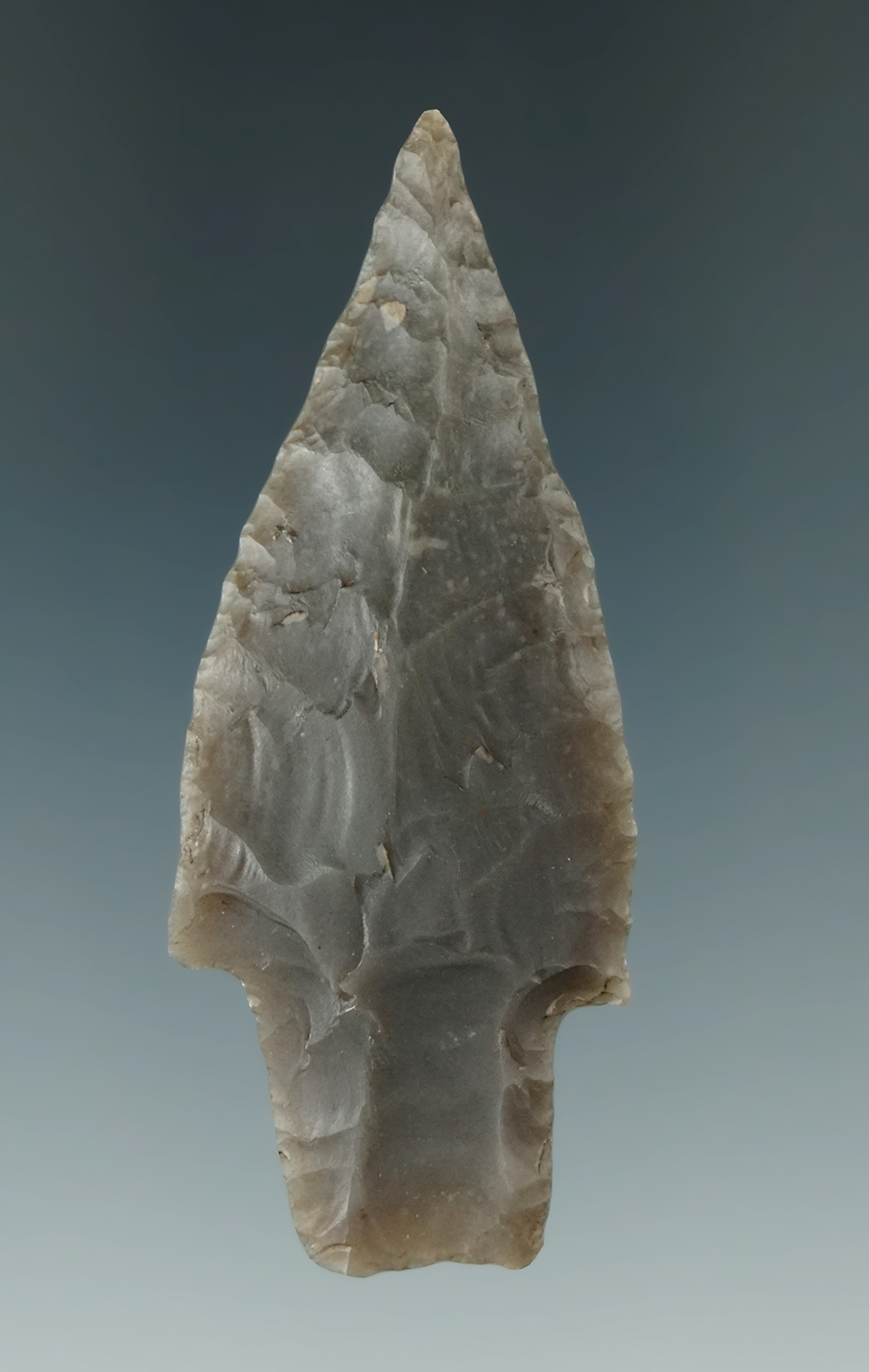 Ex. Museum! 2 5/8" Bulverde point made from quality material found in central Texas.