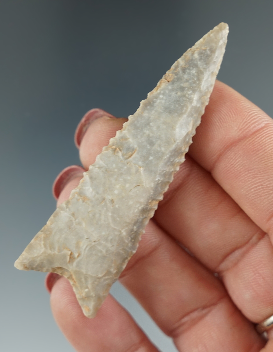 Excellent flaking and style on this 2 9/16" serrated Dalton found in East Texas.