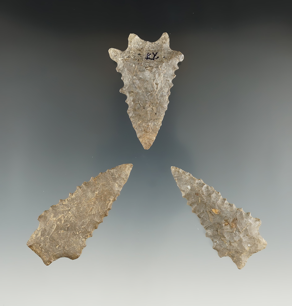 Excellent set of three serrated Kirk points found in Kentucky, largest is 2 3/8".