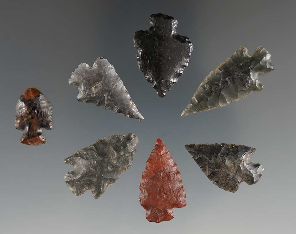 Group of seven arrowheads found near the Columbia River, Oregon. Largest is 1 5/16".