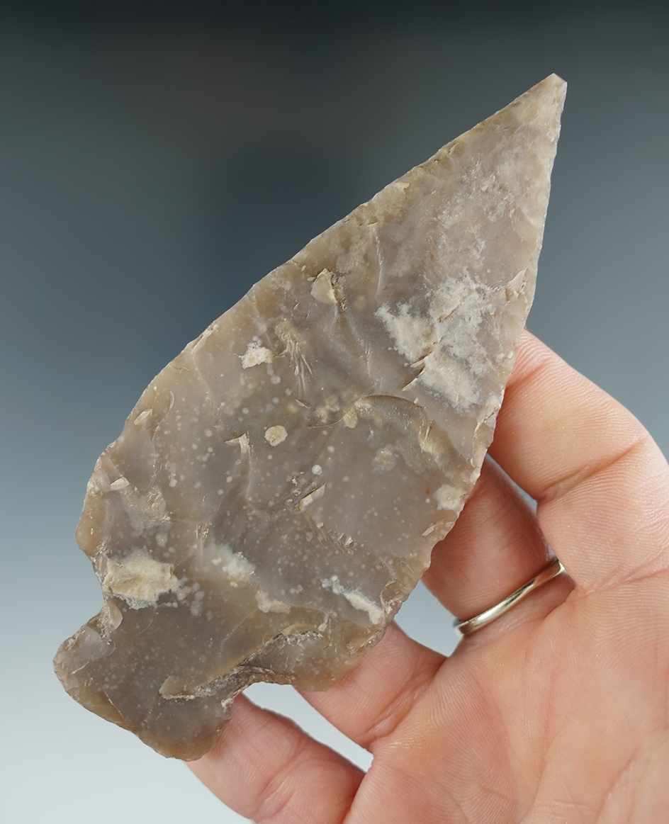 Thin, large and nice! 4 3/8" LaJita found by Bill Ruth in April, 2009 near Barksdale Texas. Rogers C