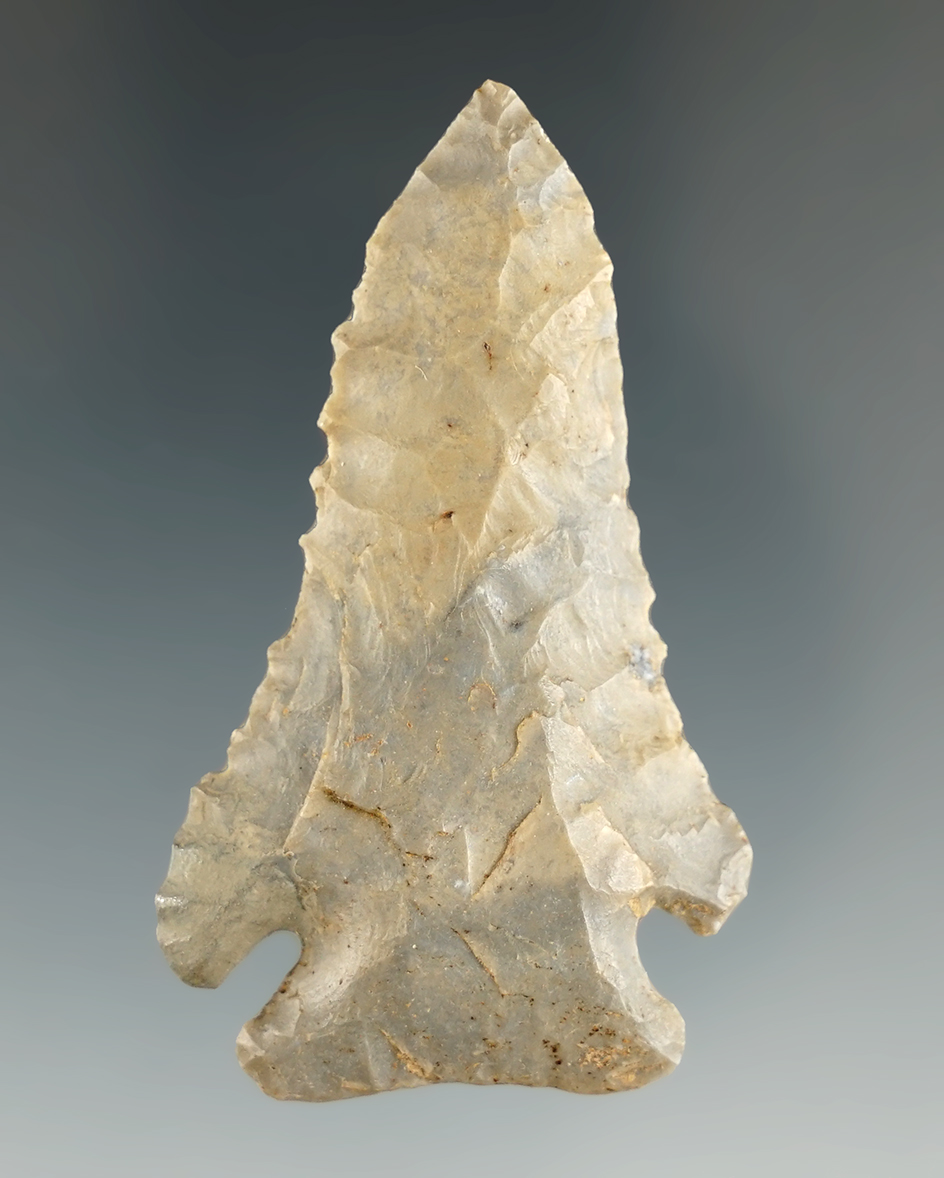 2 1/4" serrated Pine Tree point found in McLean Co.,Kentucky with minimal restoration to one ear.