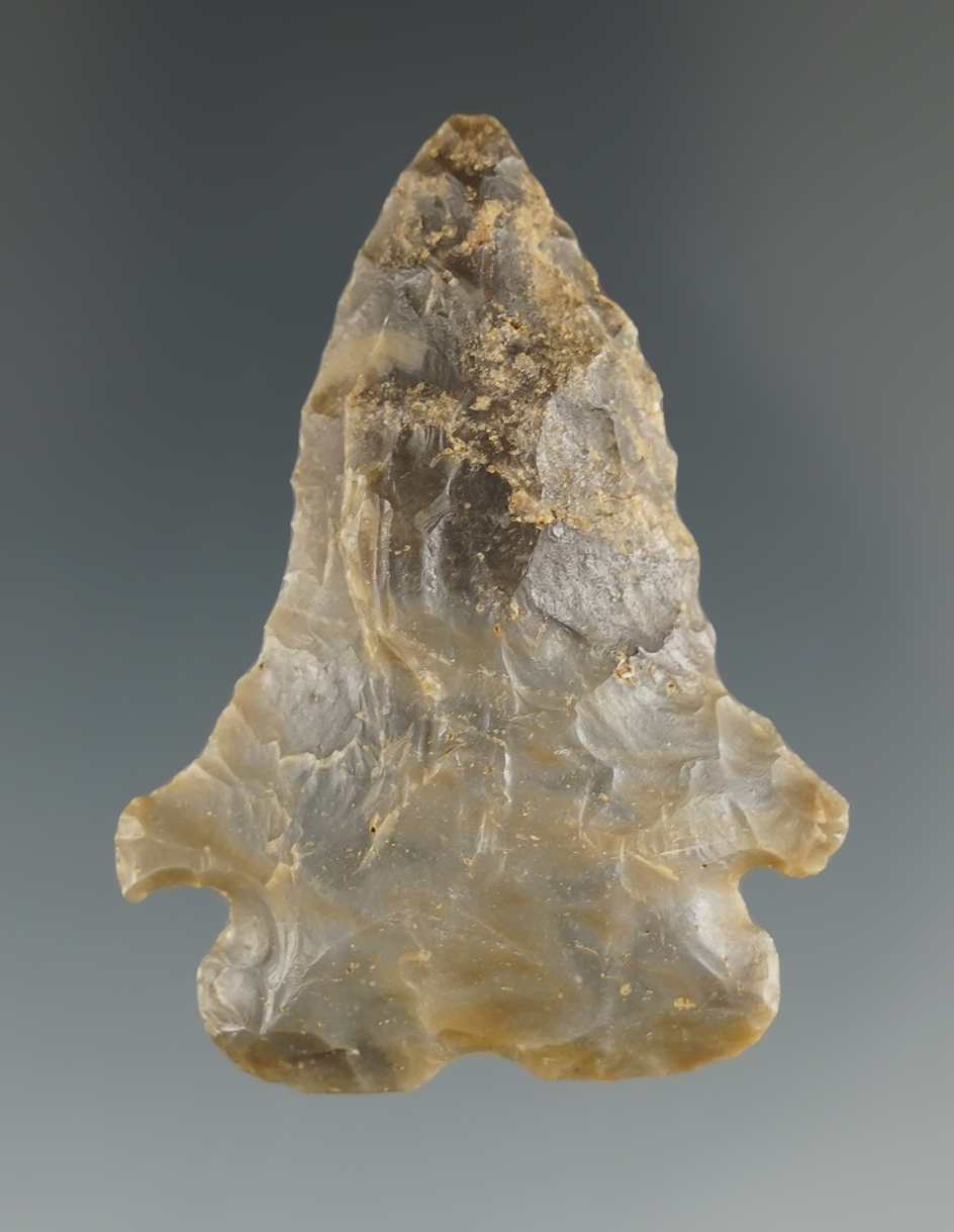 1 15/16" Pine Tree point found in Lincoln Co.,Kentucky.