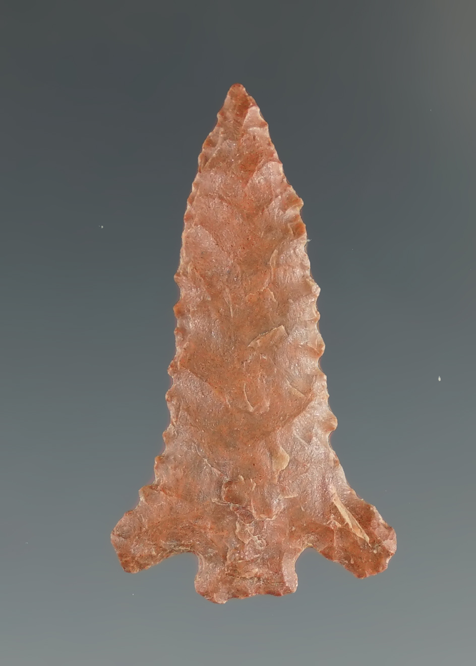 Nicely styled 1 1/4" Catahoula point found in Titus Co.,Texas