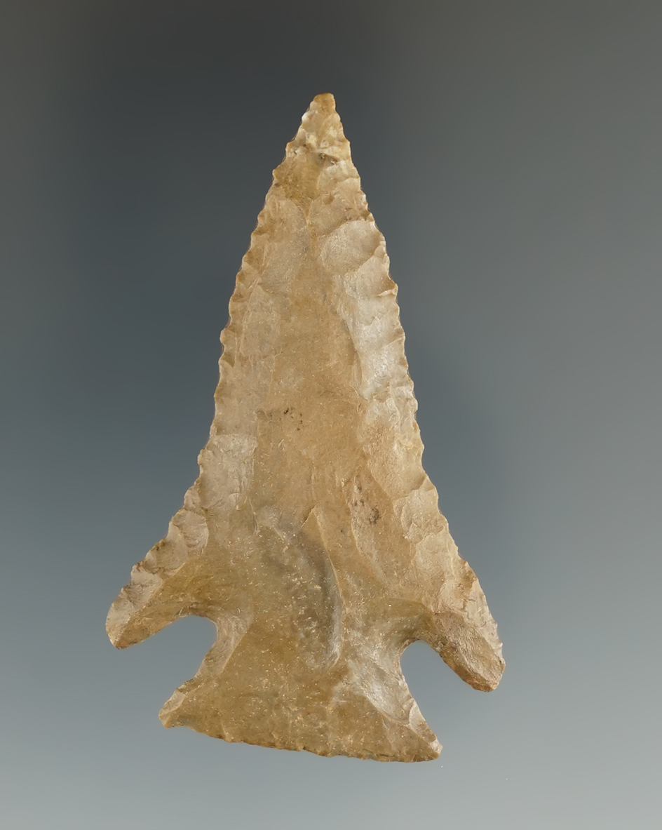 2 5/16" Pine Tree point found in Kentucky with minor restoration to the ear tips.