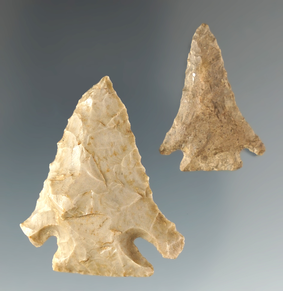 Pair of Pinetree points found in Scott Co.,Kentucky, largest is 1 5/8".