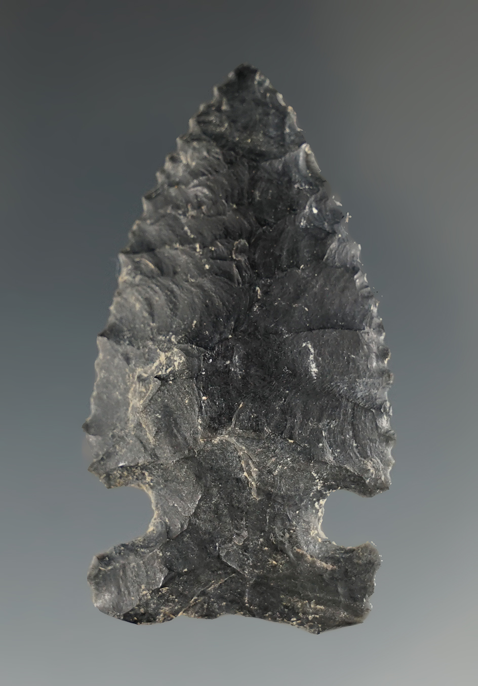 1 15/16" Northern Sidenotch that is heavily patinated with nice edge serrations found in Lake Co.,OR